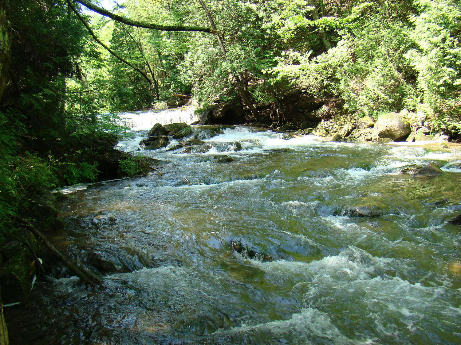 Rapids at The Forks of the Credit Provincial Park