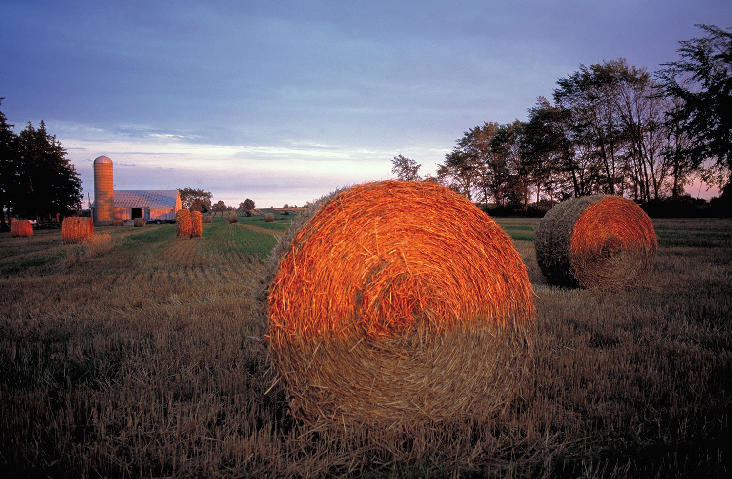 Bales of hay on a farm near Stratford. Photo © Ontario Tourism
