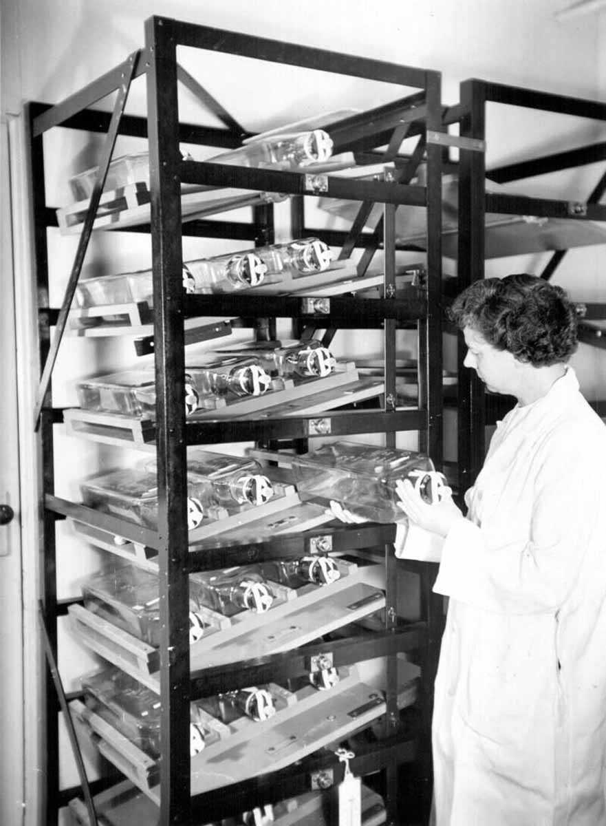 Dr. Leone Farrell (Photo: Sanofi Pasteur Canada (Connaught Campus) Archives)