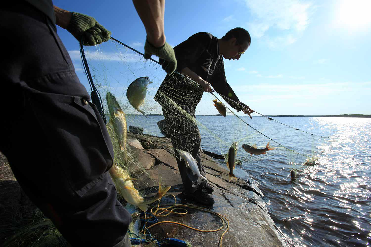 Fish have always been an important resource for Anishinaabeg. (Photo: Pimachiowin Aki Corporation | Credit: Hidehiro Otake)