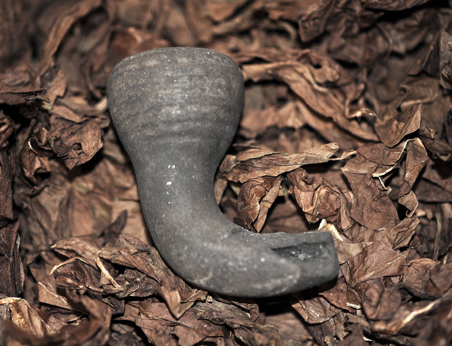 Clay pipe