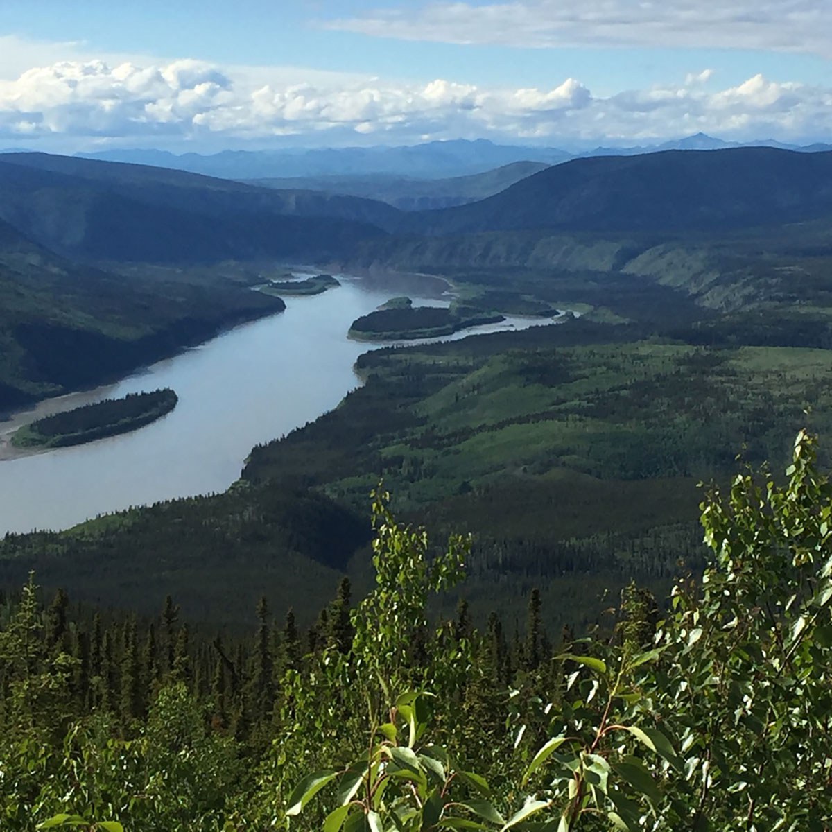 The Yukon River and cultural landscape of the Tr’ondëk Hwëch’in, who have voluntarily suspended Chinook salmon fishing for one life cycle of the fish (7 to 8 years) due to low stocks. (Photo: Lisa Prosper)