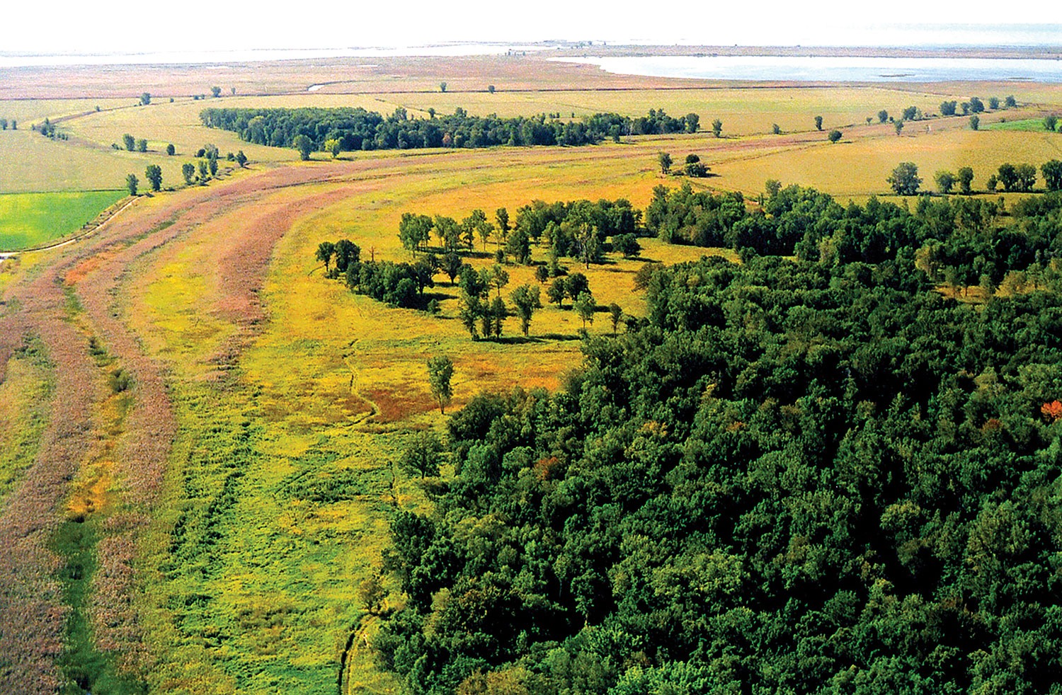 Intangible heritage can inform our approach to the environment. The Bkejwanong territory has been cared for by the Walpole Island First Nation for many generations through traditional and sustainable ecological approaches to land and water. Aerial view of