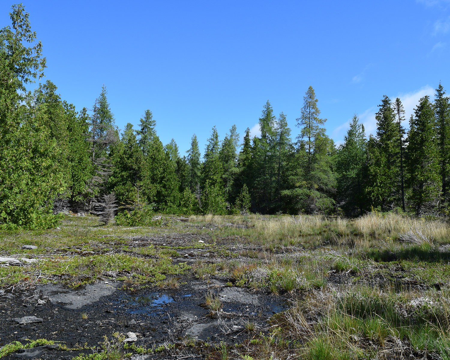 Clarke Property, Municipality of Grey Highlands, 2020