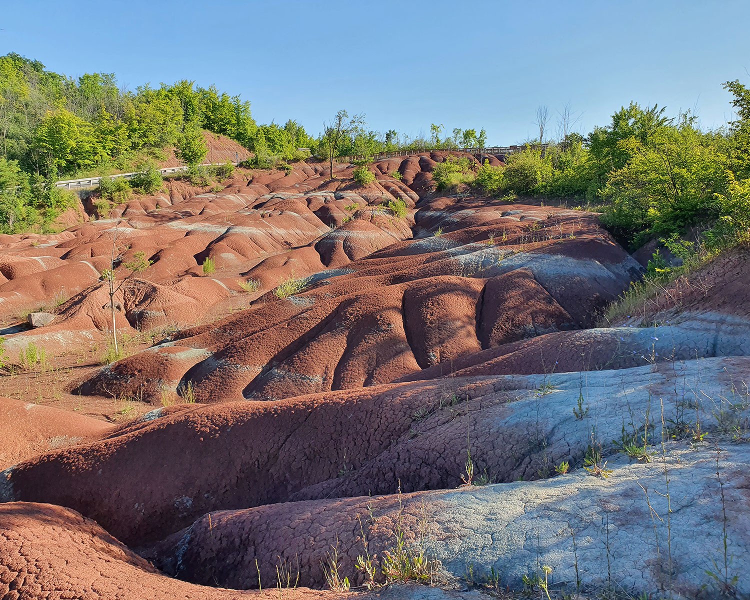 Cheltenham Badlands