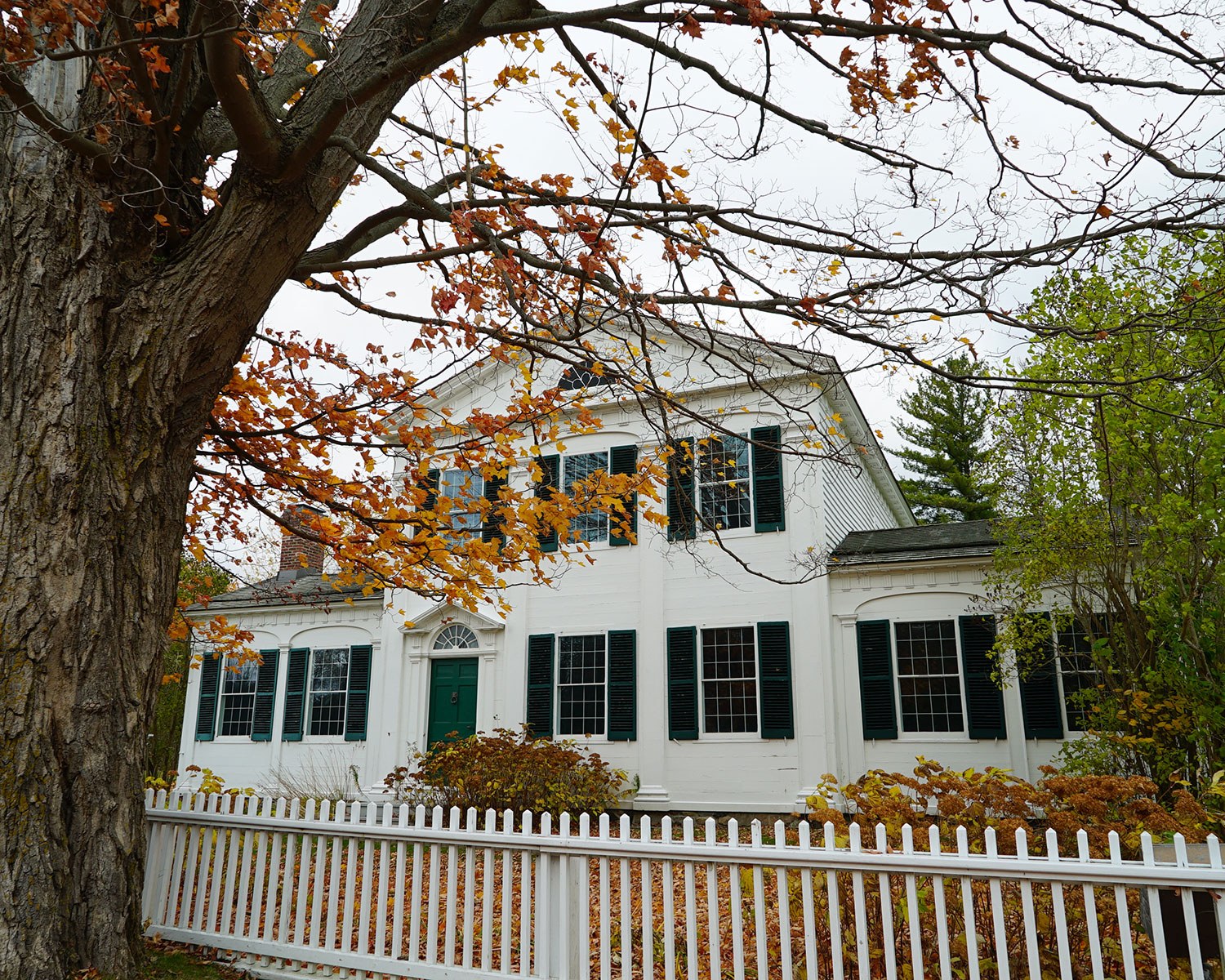 Barnum House, 2024